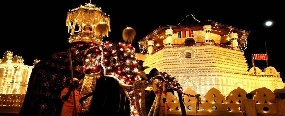 Perahera Kandy 2015