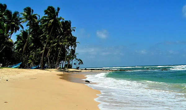 Sri Lanka Island Tour (7n/8d)
