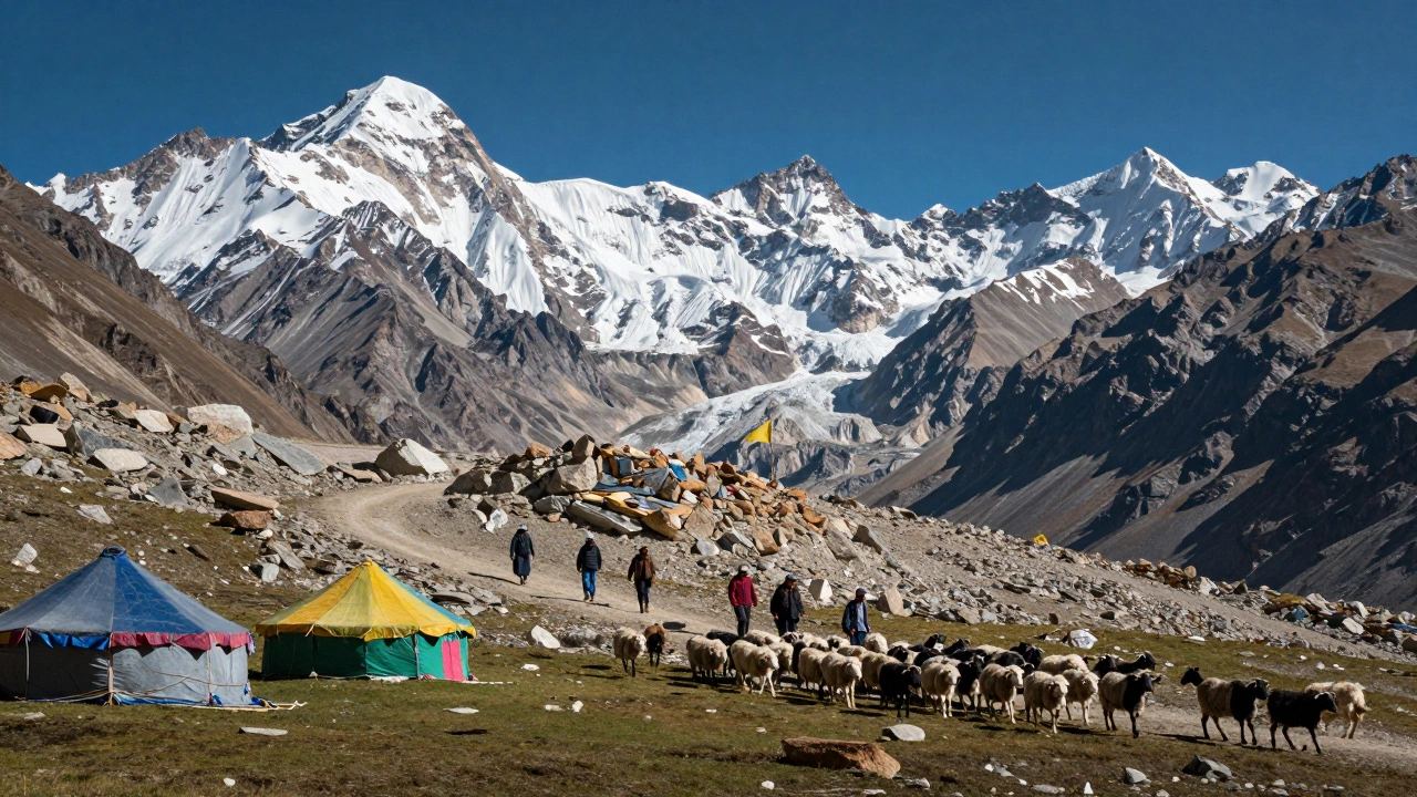 Bakarwal nomads herding sheep through Himalayan mountain trails
