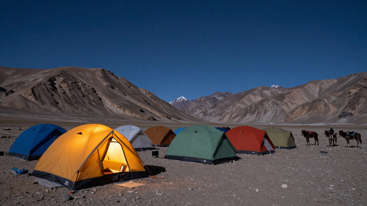 Campsite with tents in Ladakh desert under starry sky